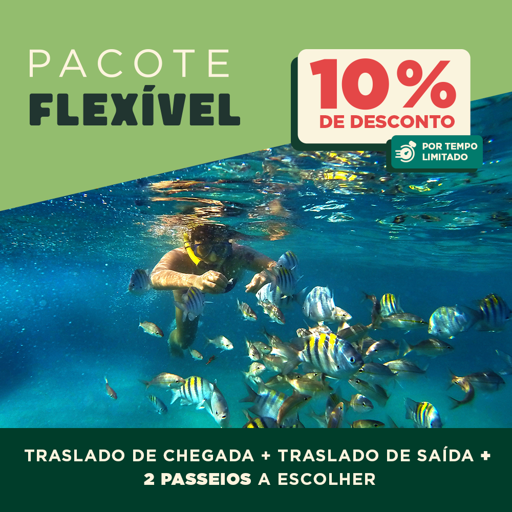 Pacote Flexível: Traslado Chegada e saída + 2 passeios a escolher