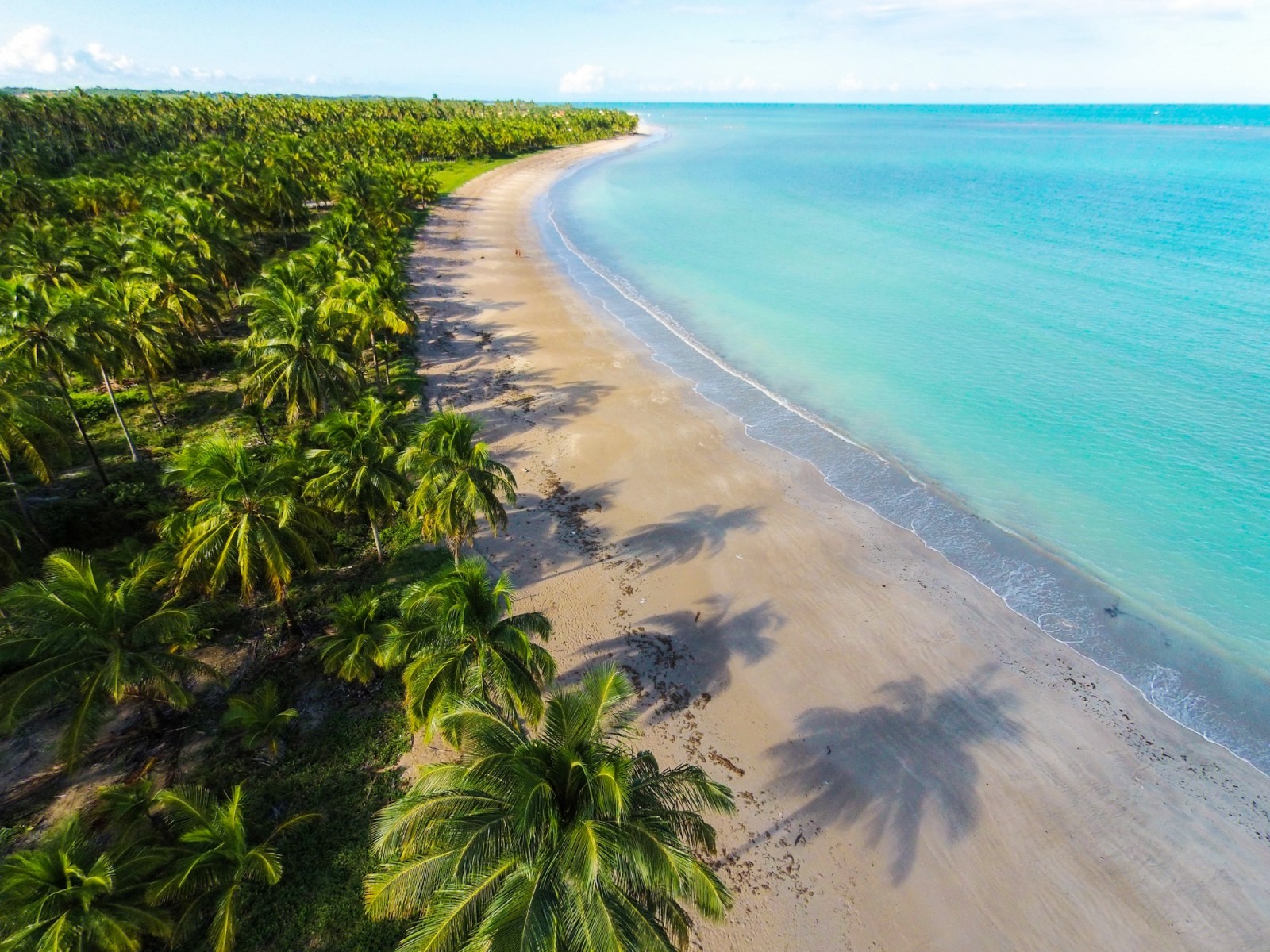Passeio Praia de Ipioca — Hibiscus Beach Club com transporte incluso.
