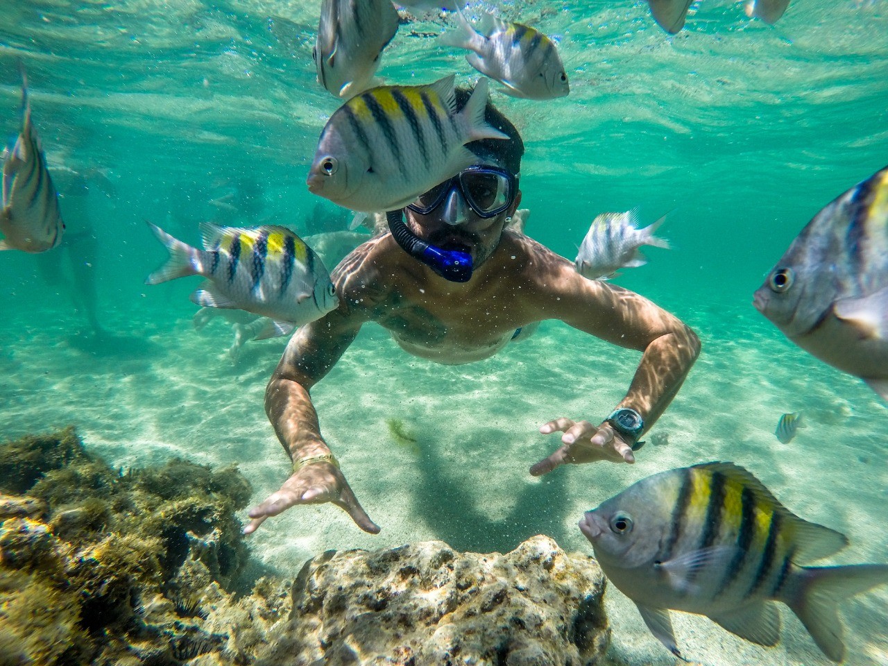 Paripueira — Praia calma e piscinas naturais saindo de Maceió.