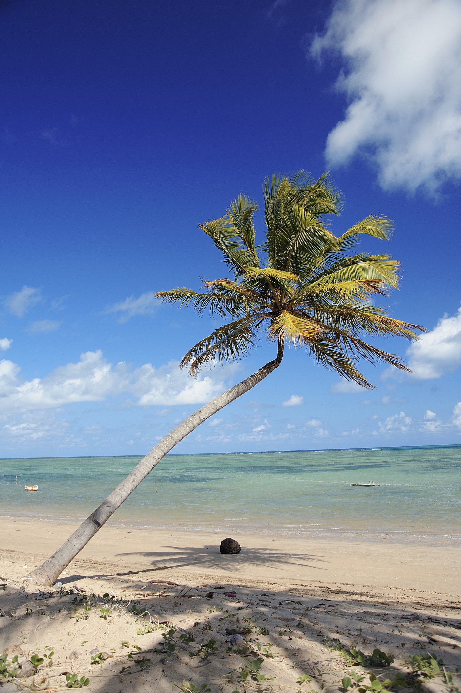 Praia do Patacho — Areias claras e mar cristalino saindo de Maceió
