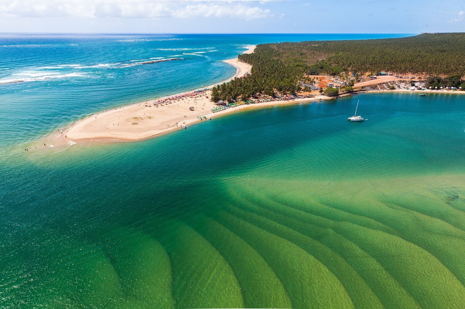Praia do Gunga — Mar transparente, falésias coloridas e coqueirais infinitos.