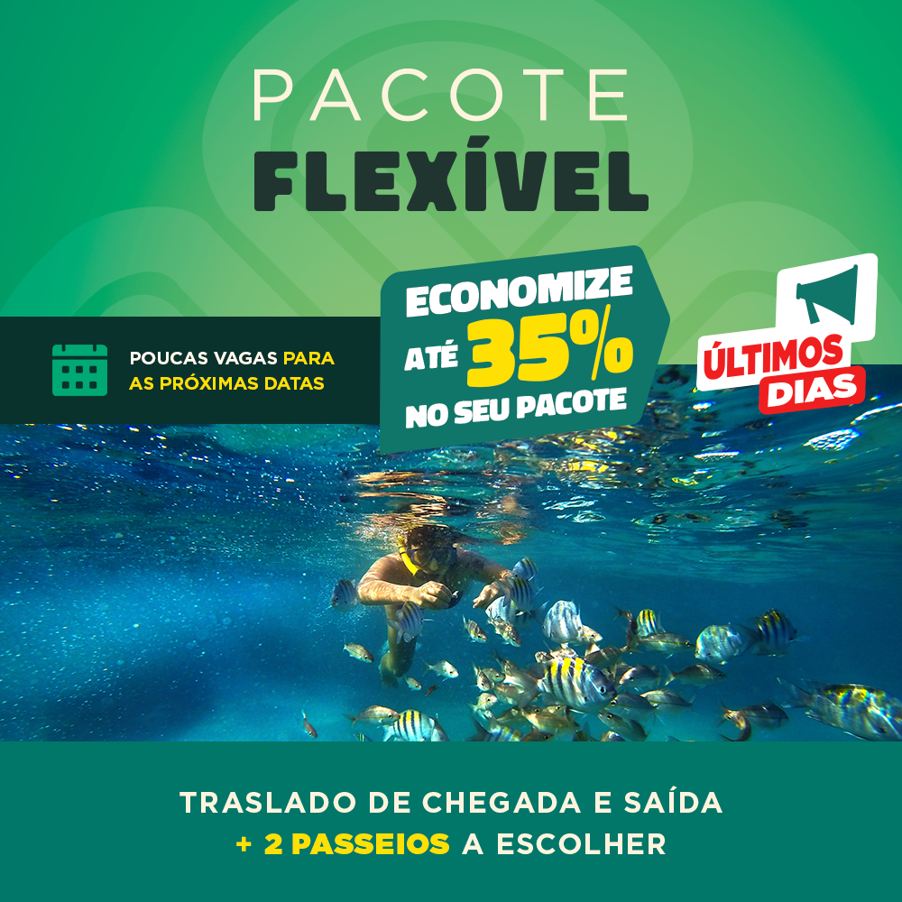 Pacote Flexível: Traslado Chegada e saída + City Tour + 2 passeios a escolher