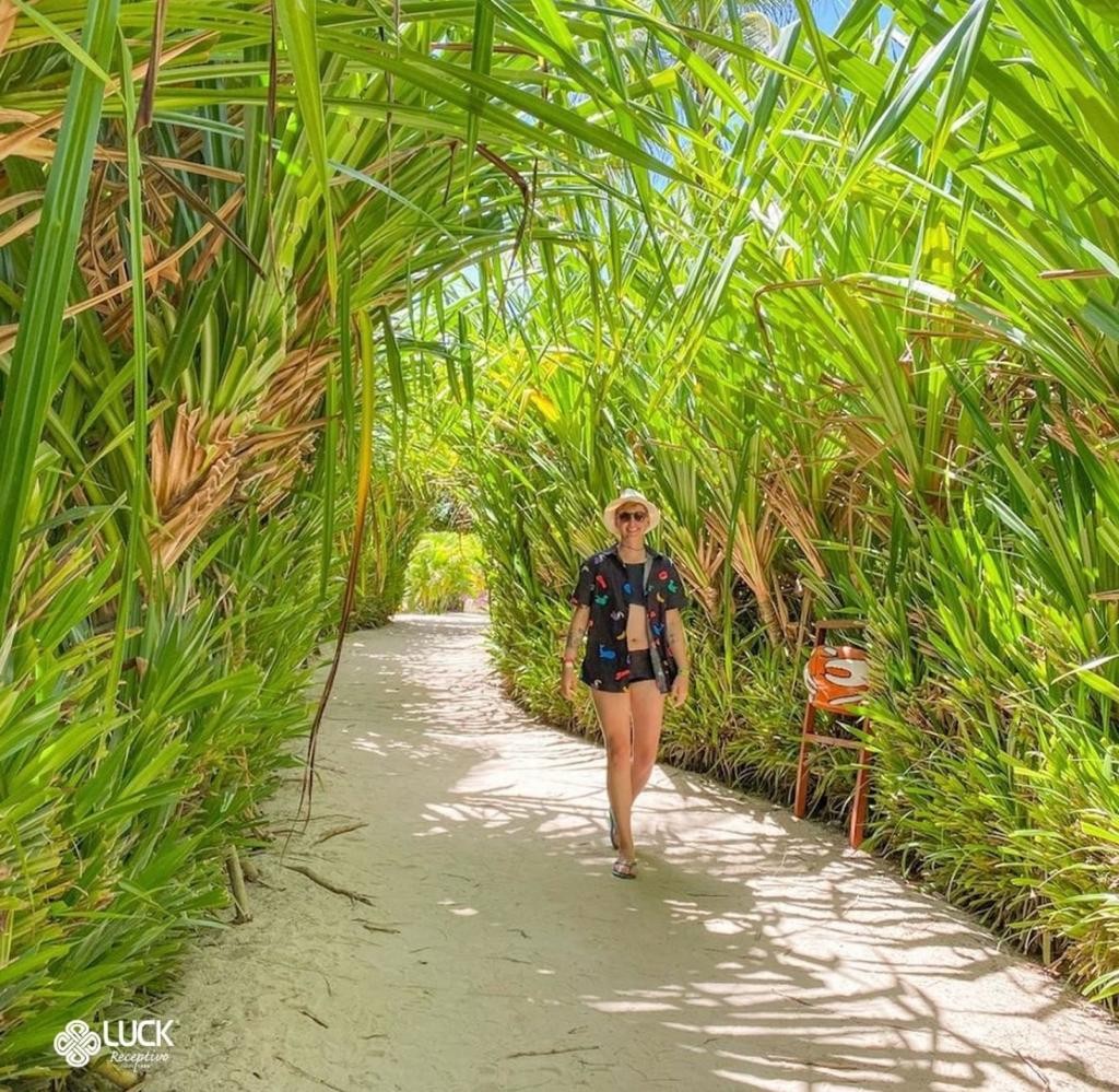 Capa do post Para Onde Ir em Porto de Galinhas: Passeios e Praias