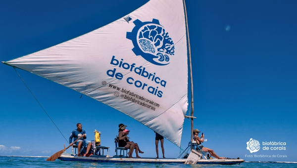 Propósito Recifal | Passeio de jangada, flutuação, coral e ciência em Porto de Galinhas