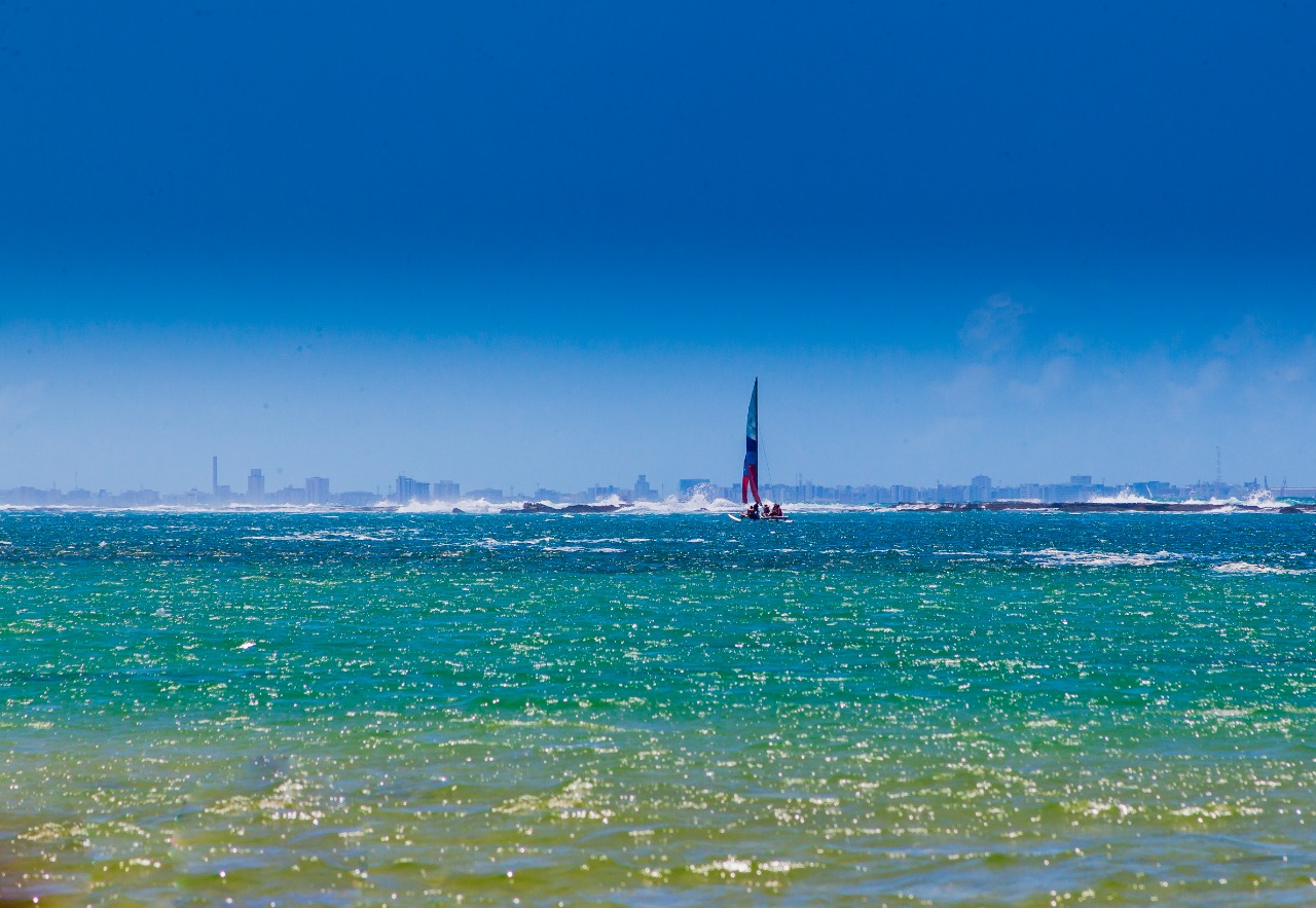 Praia do Francês + City Tour Panorâmico em Maceió 