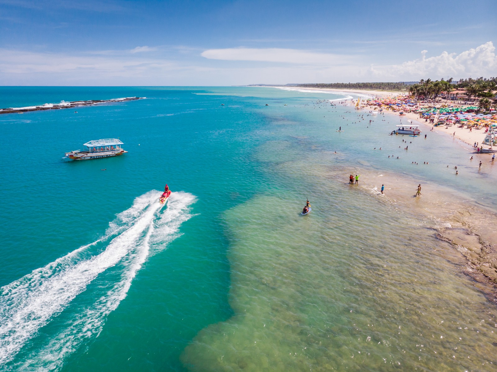 Praia do Francês + City Tour Panorâmico em Maceió 