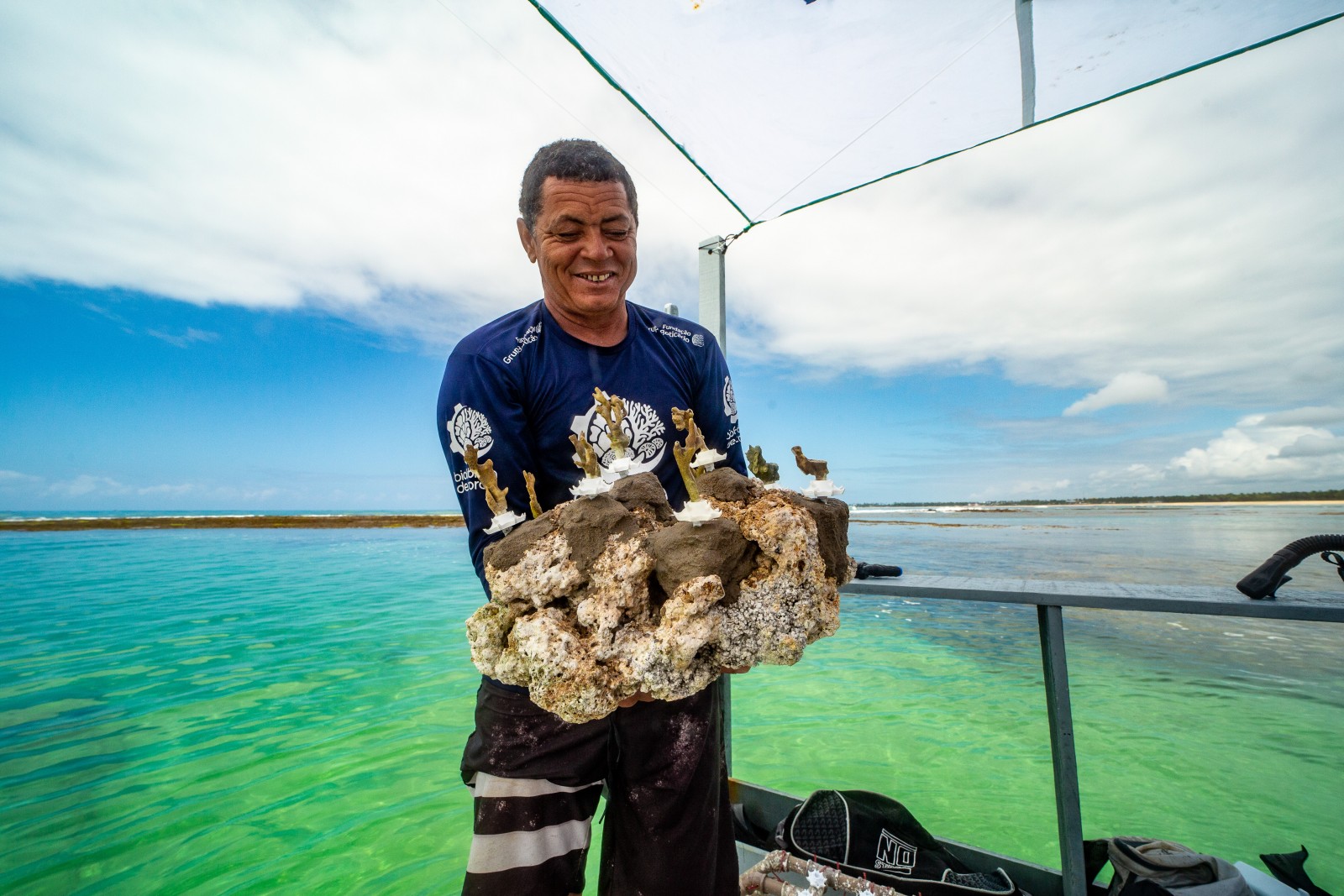 ​Adote um Coral​ - ​Millepora alcicornis​ ​"Coral de Fogo" 