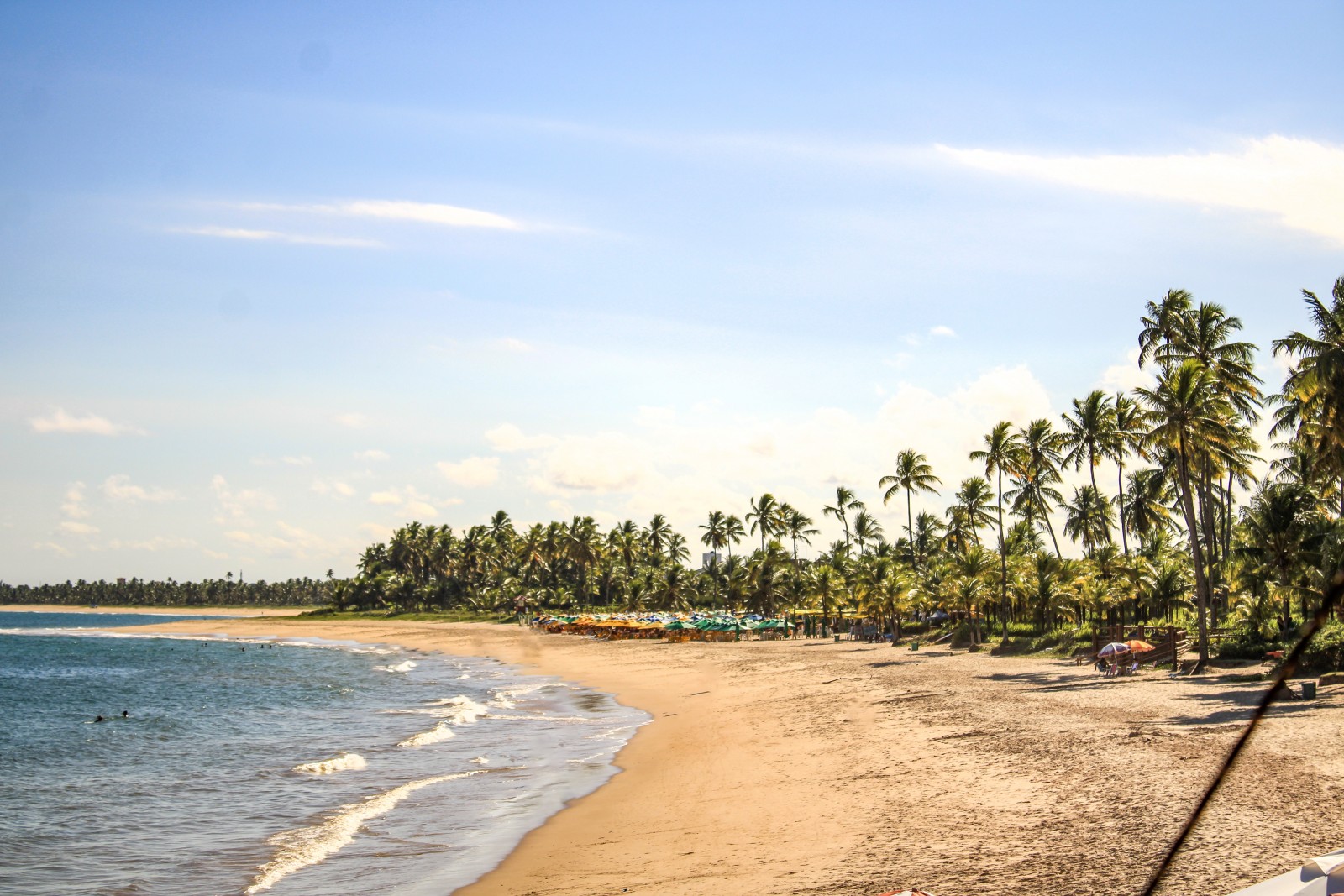 Passeio na Praia do Forte e Guarajuba