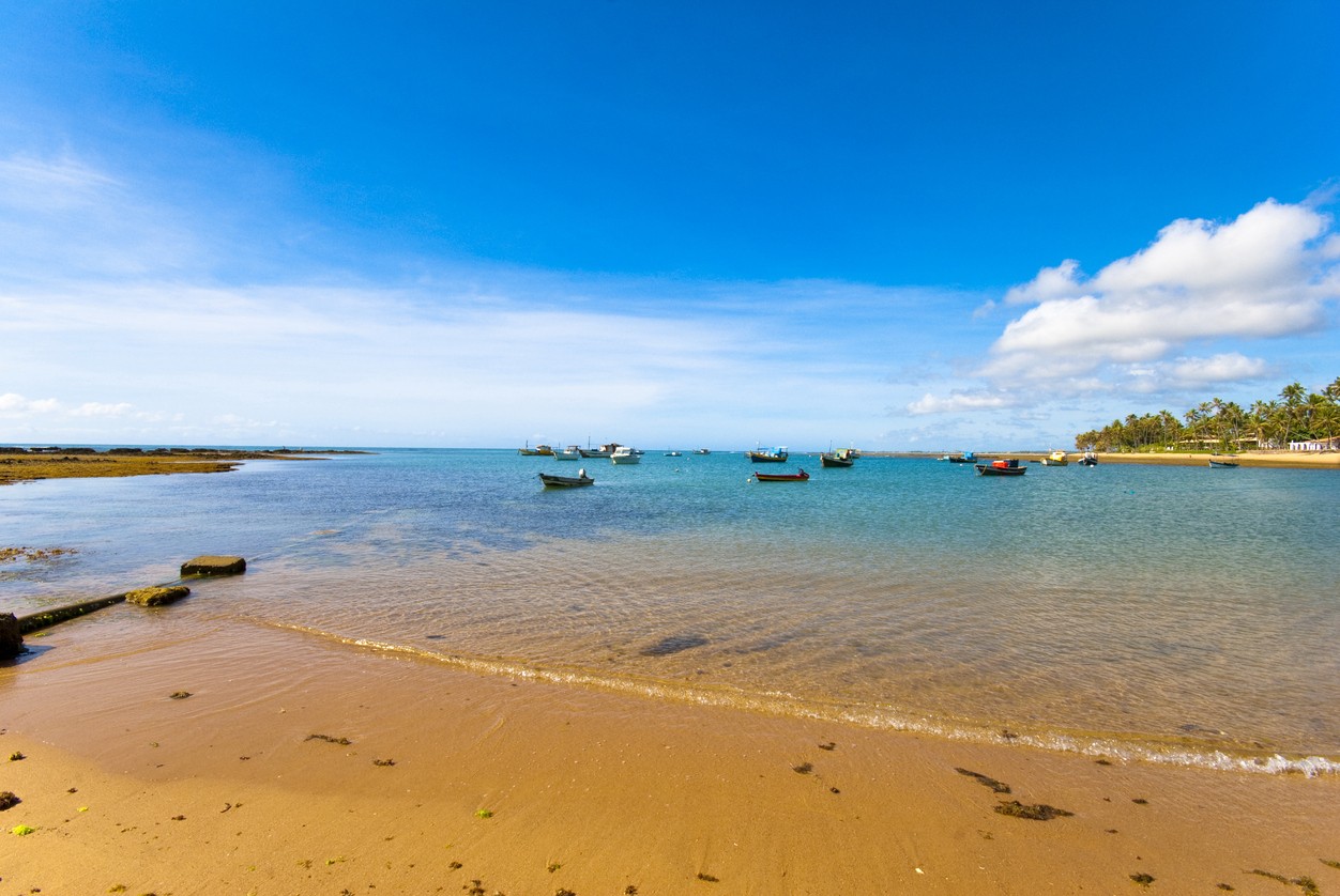 Passeio na Praia do Forte e Guarajuba
