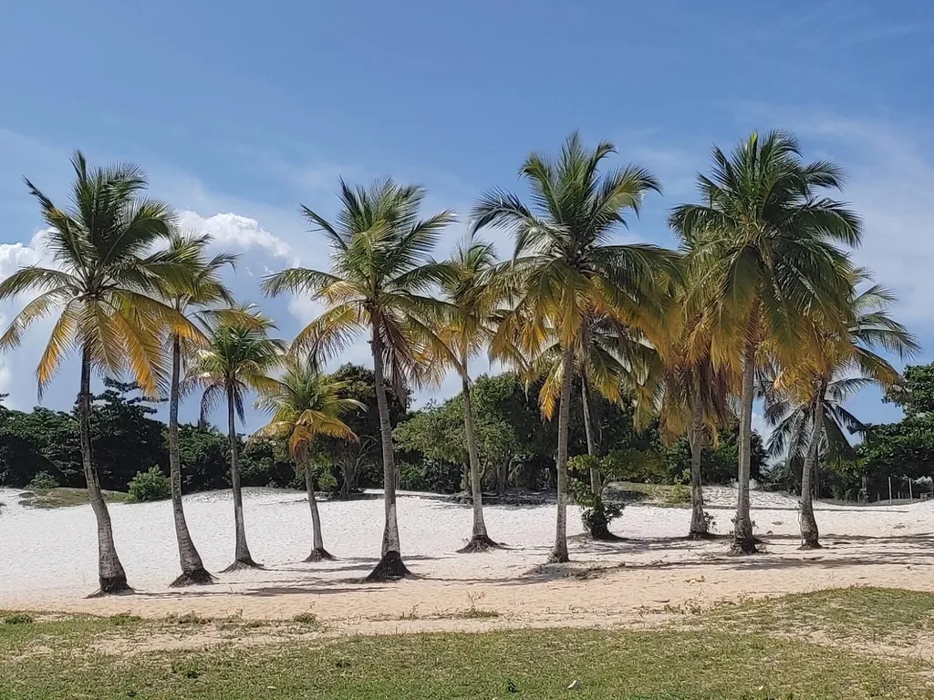 Passeio Instagramável em Salvador - Exclusivo