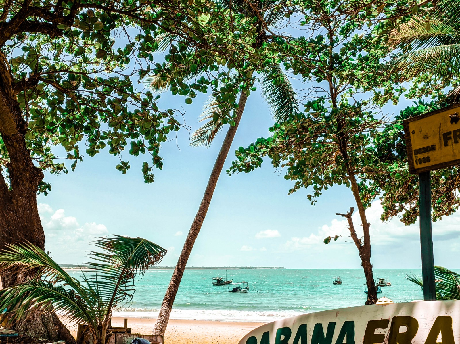 Passeios nas Praias de Itacimirim e Imbassaí
