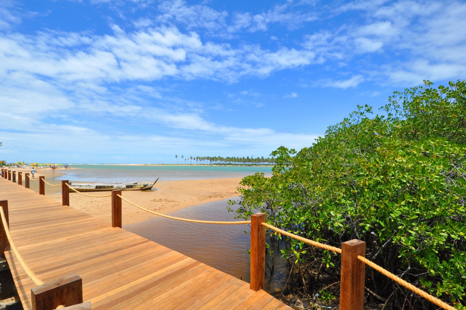 Passeios nas Praias de Itacimirim e Imbassaí