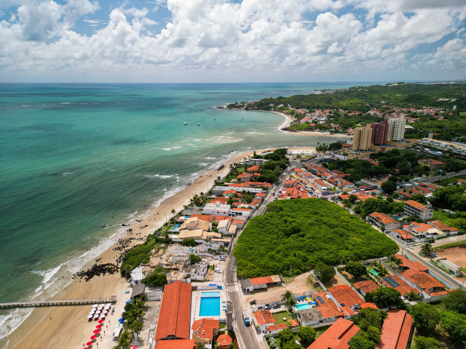 Natal: Litoral Sul com visita ao Maior Cajueiro do Mundo e Praia de Camurupim
