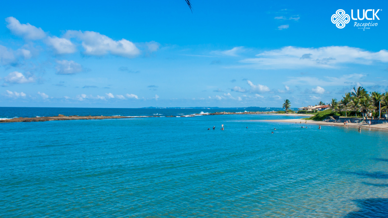 Natal: Litoral Sul com visita ao Maior Cajueiro do Mundo e Praia de Camurupim