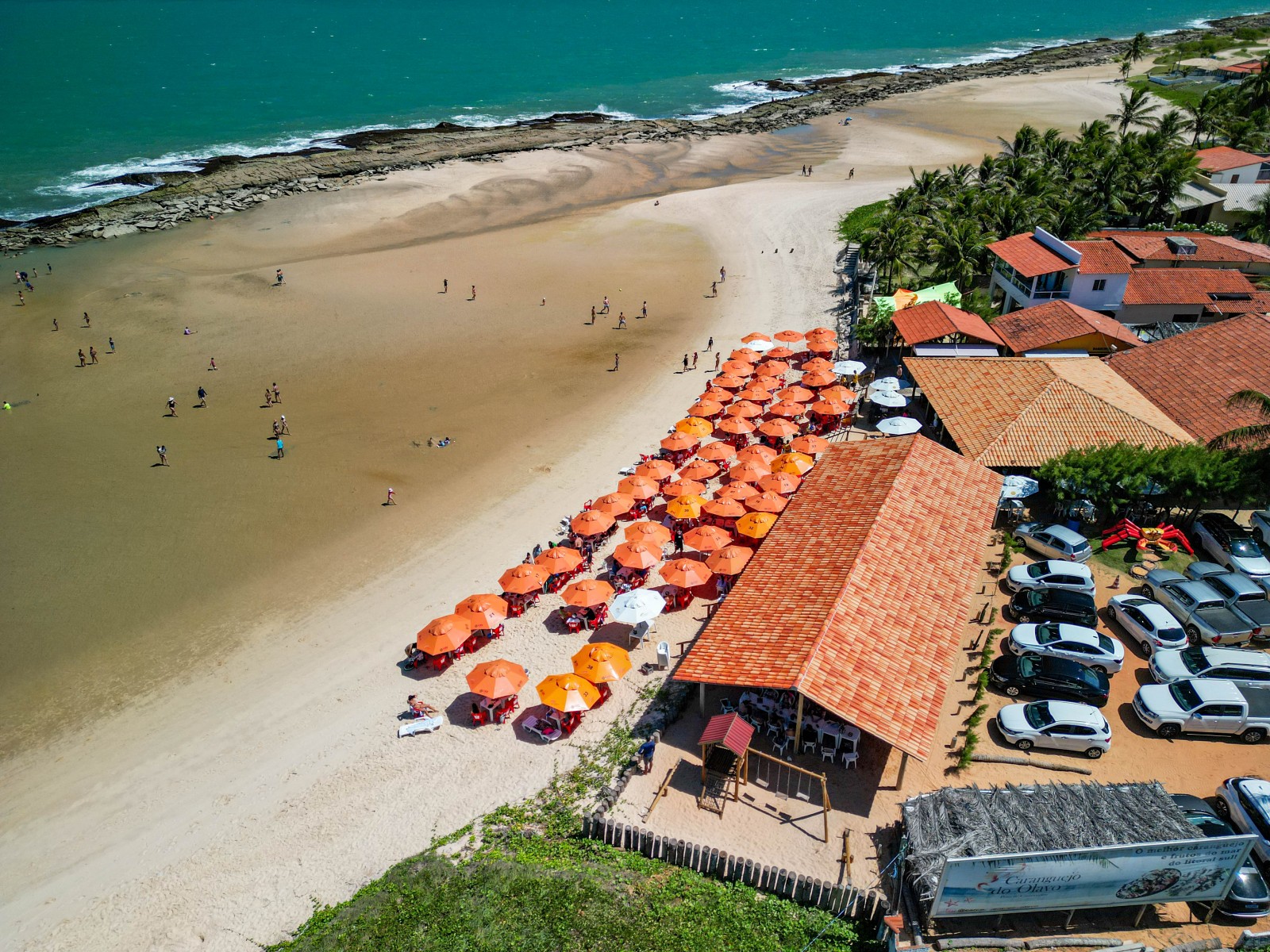 Natal: Litoral Sul com visita ao Maior Cajueiro do Mundo e Praia de Camurupim