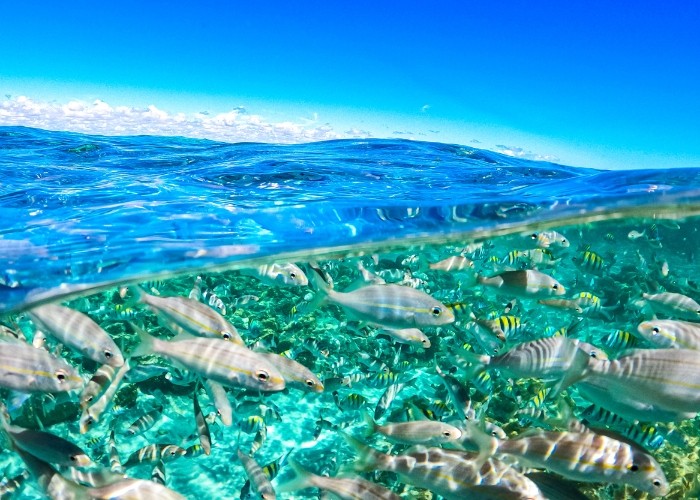 Passeio à Perobas com passeio de lancha