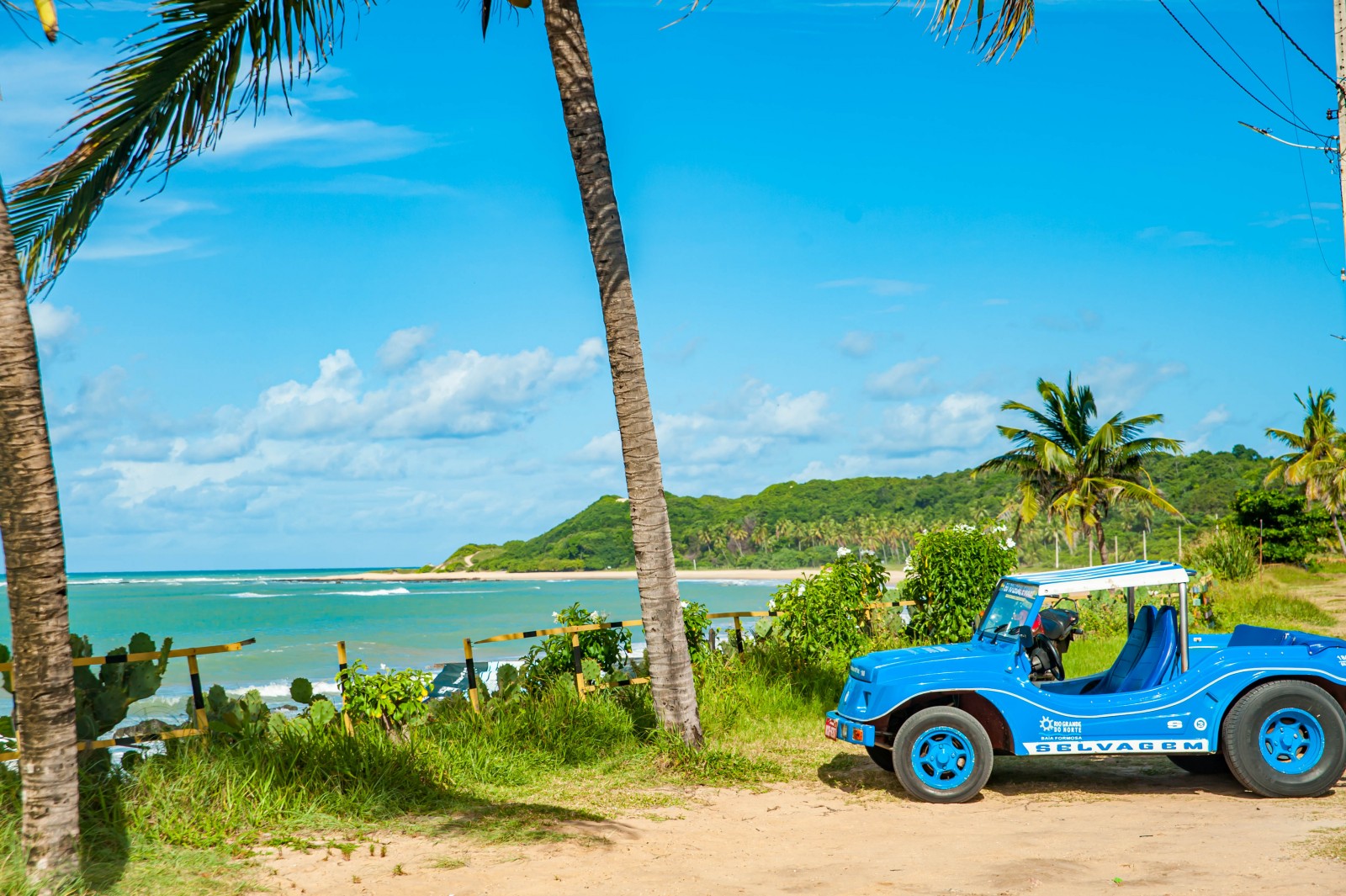 Passeio à Baia Formosa