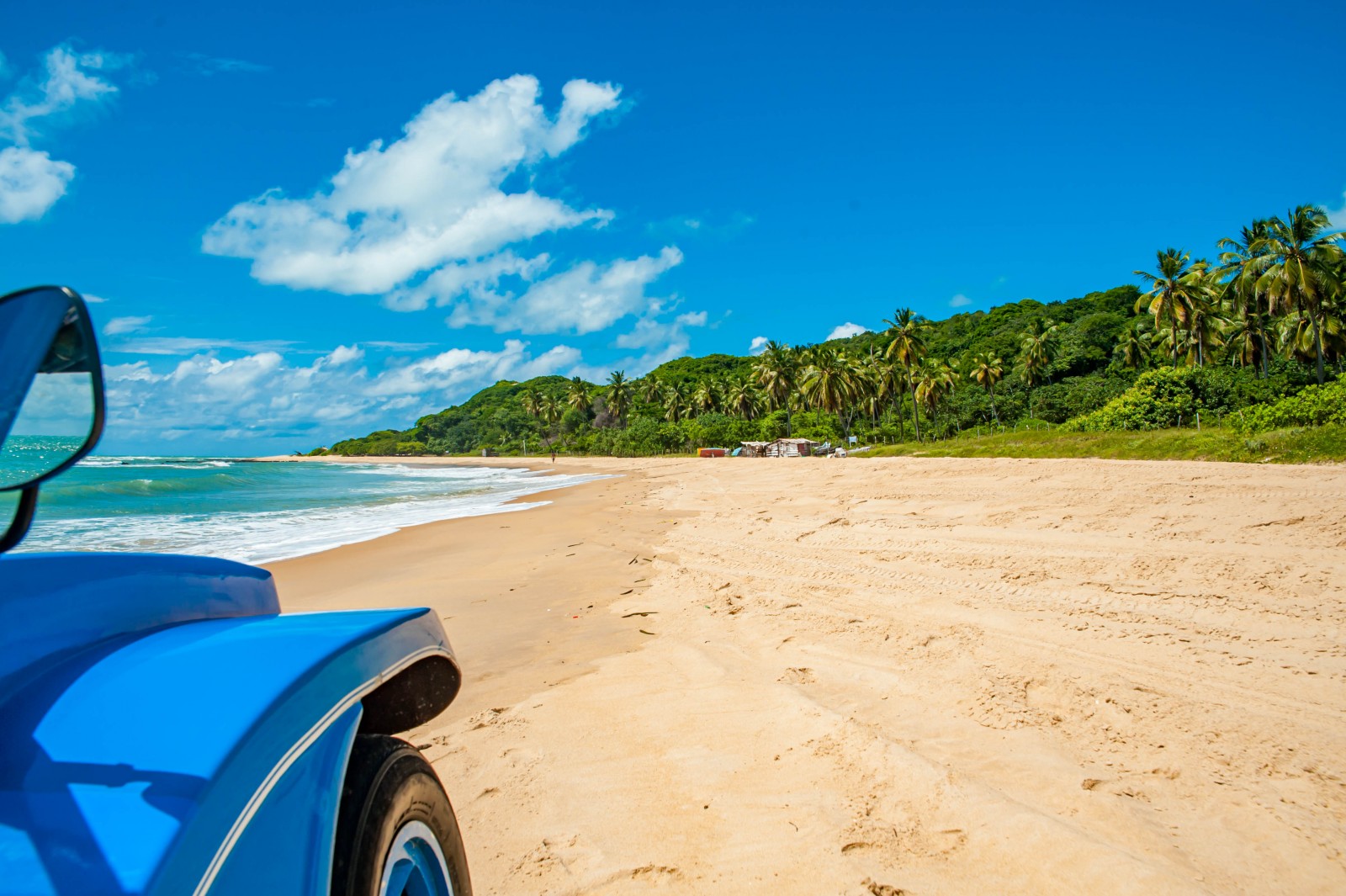 Passeio à Baia Formosa