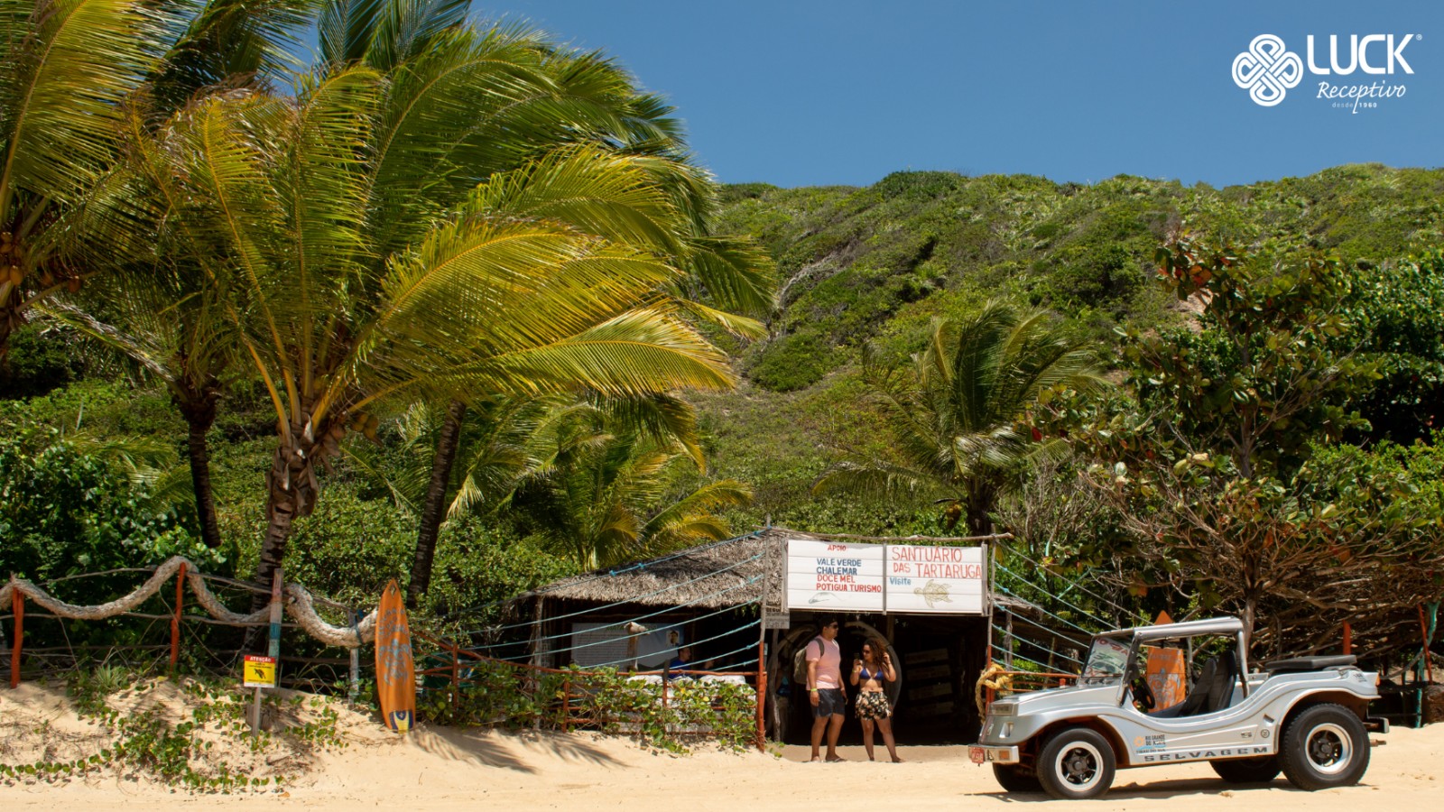 Passeio à Baia Formosa