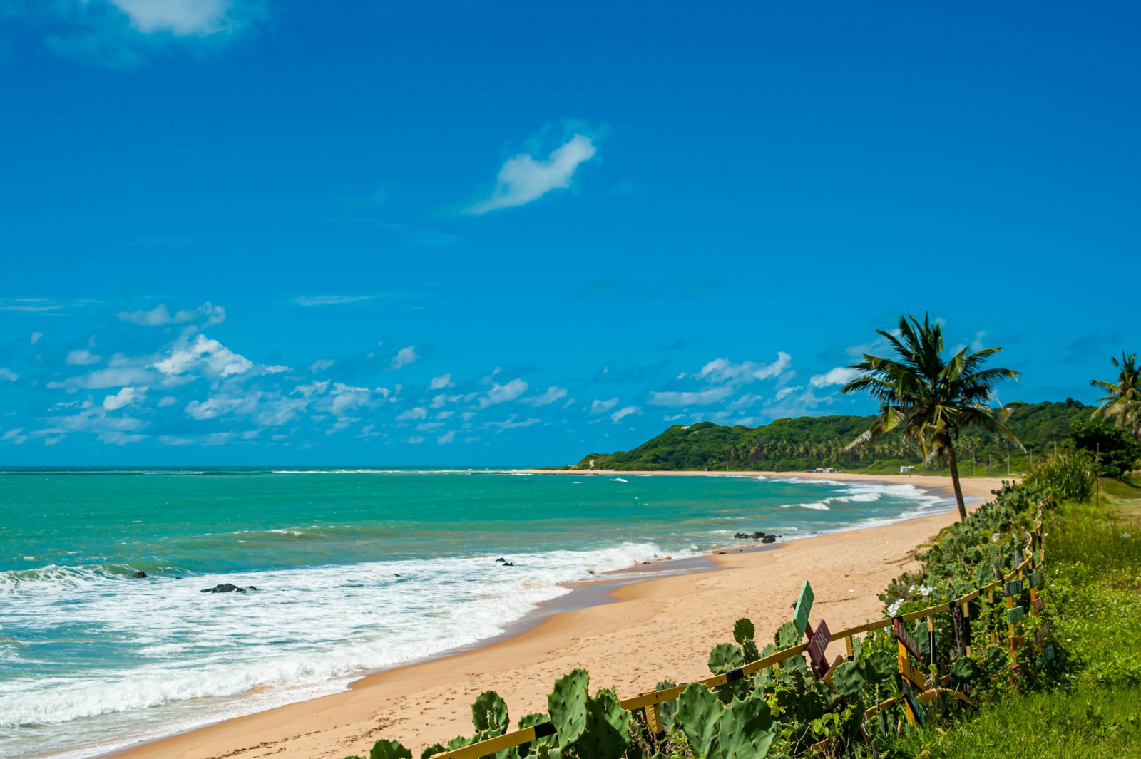 Passeio à Baia Formosa
