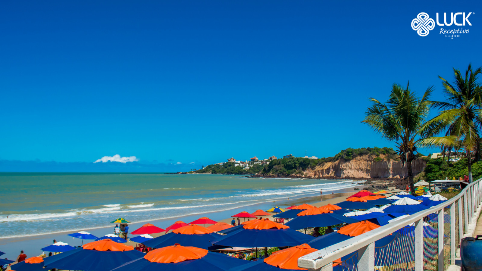 City Tour Natal com Praia de Cotovelo