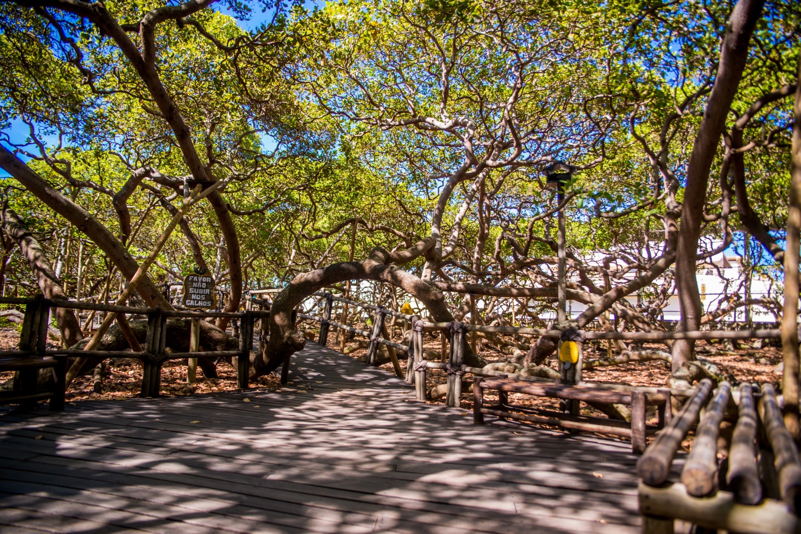 Passeio de 4x4 nas Praias do Litoral Sul - Privativo