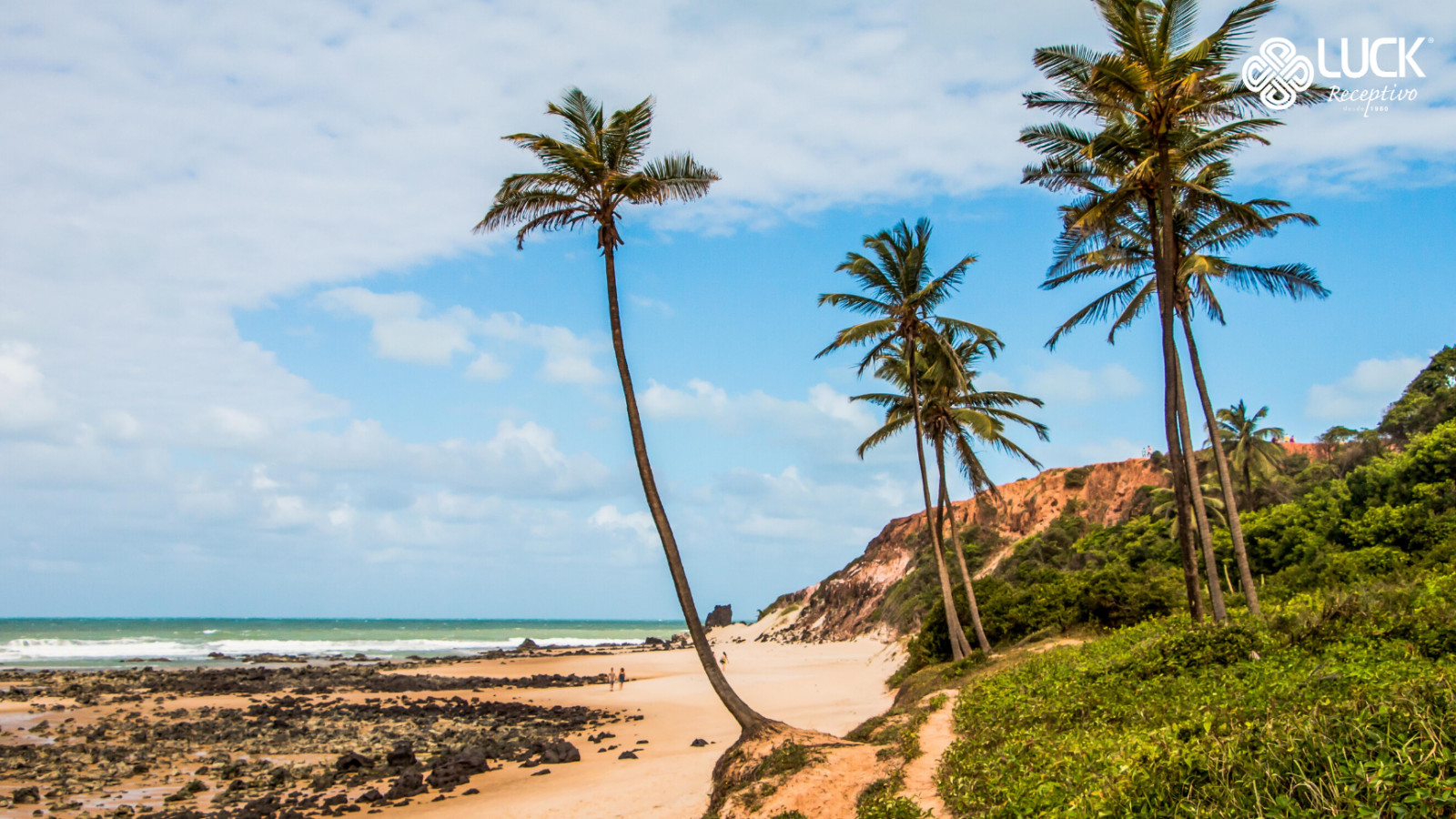 Passeio à Pipa saindo de Natal