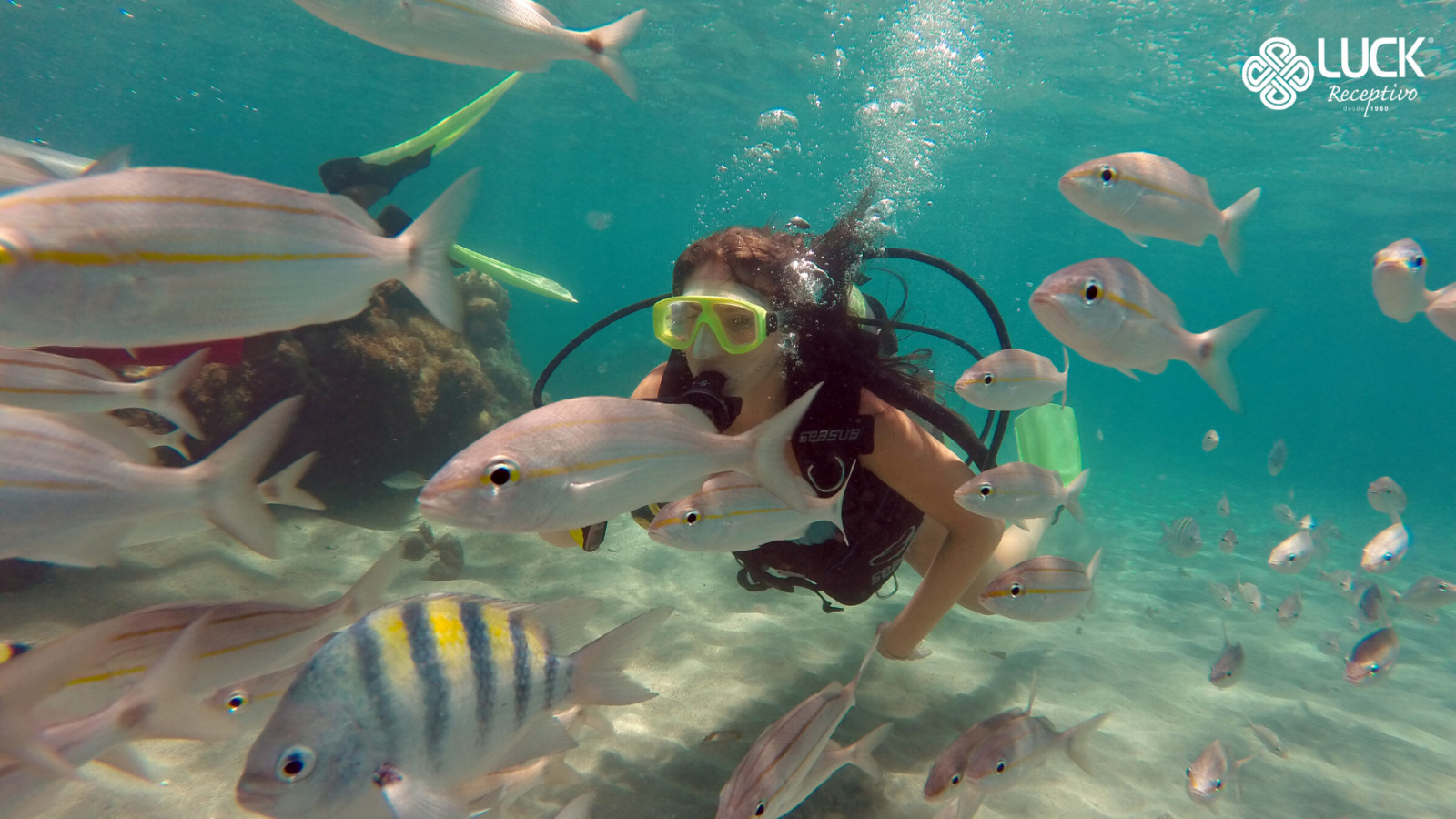 Praia de Maracajaú com Passeio de Lancha