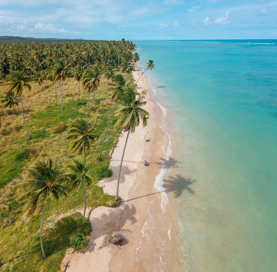 Praia do Patacho — Areias claras e mar cristalino saindo de Maceió