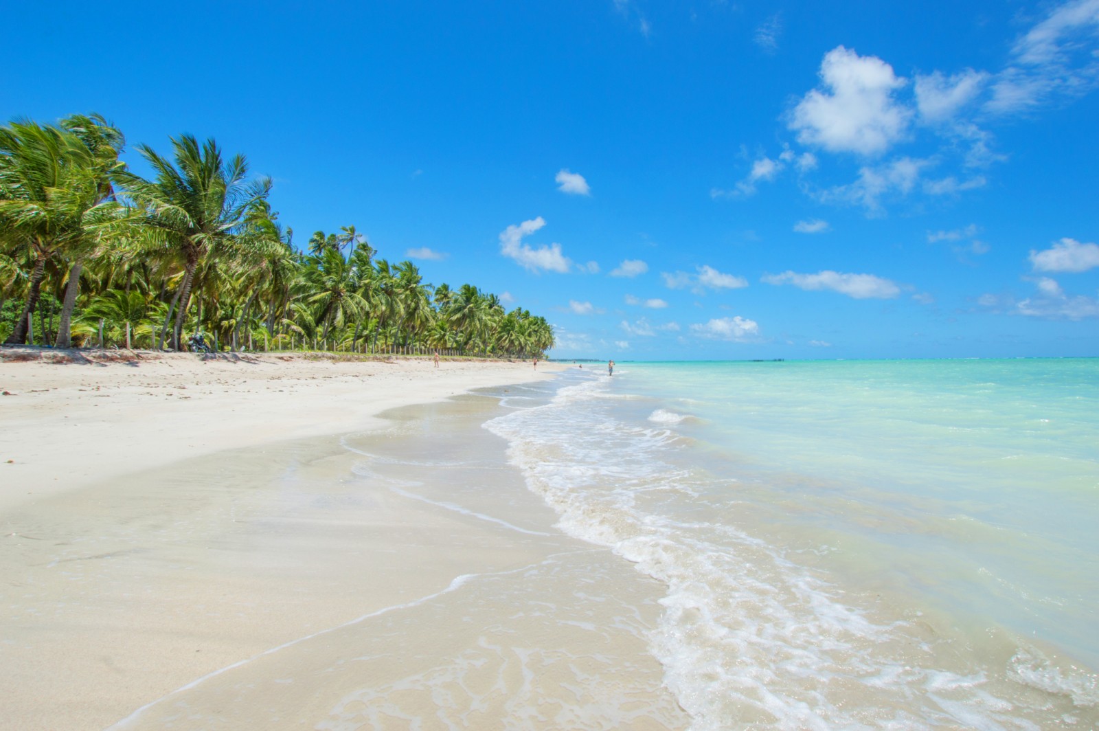 Maragogi — o Caribe Brasileiro com beach club incluso, saindo de Maceió.