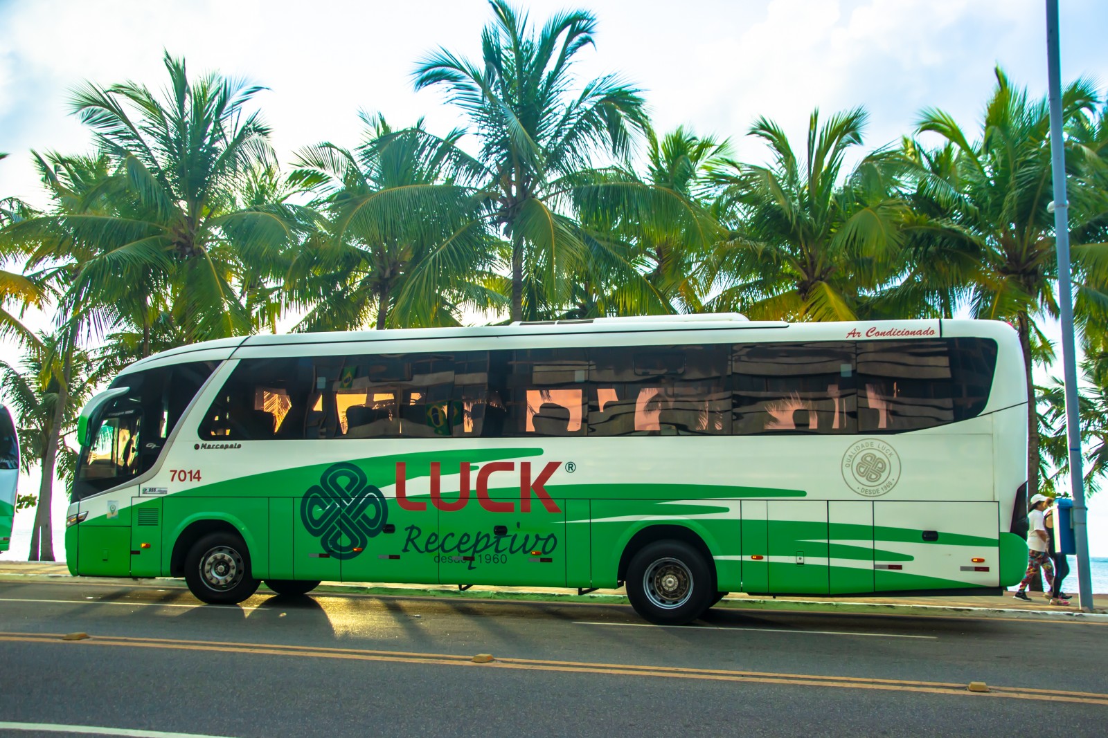 Transfer OUT em Maceió