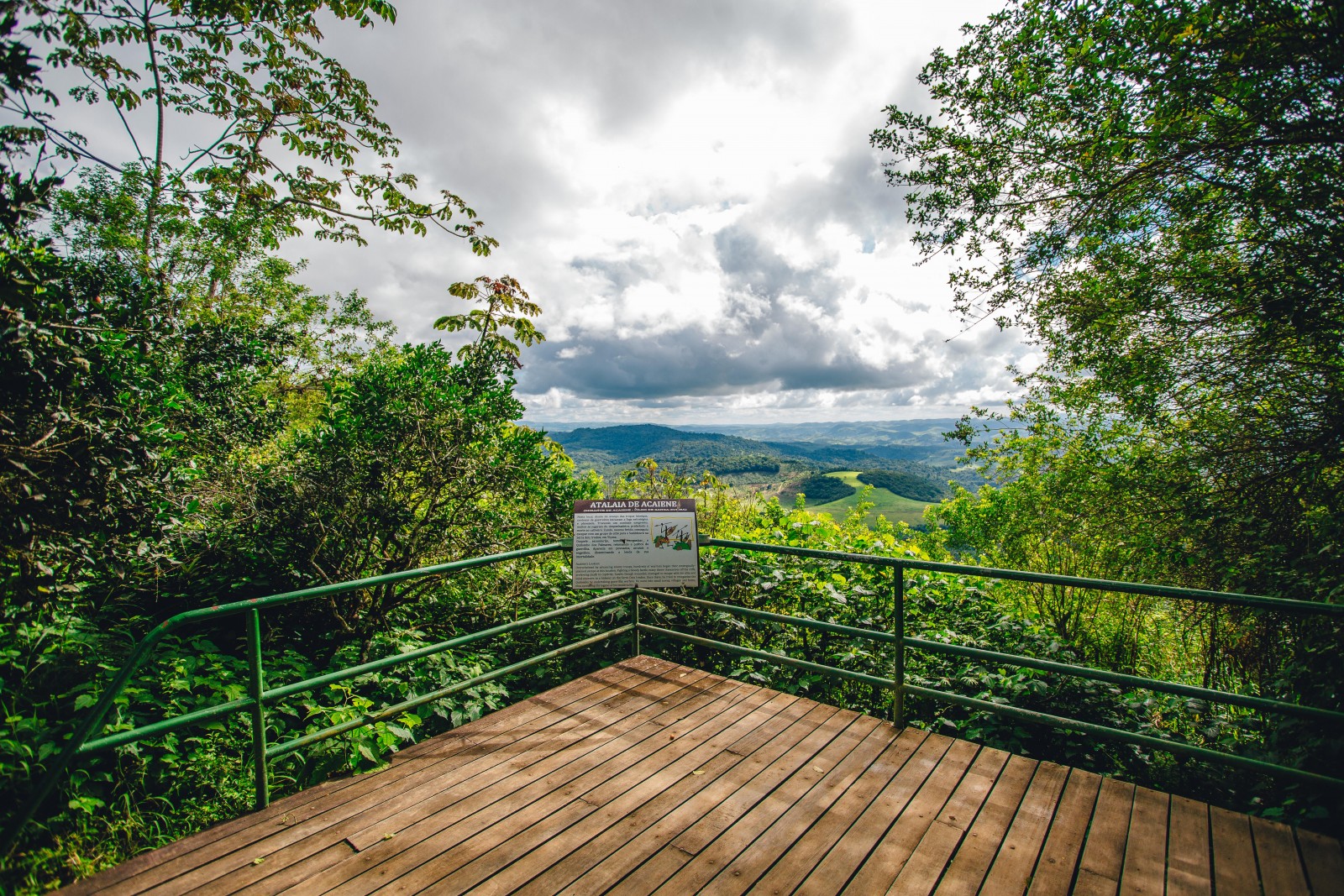 Quilombo dos Palmares — História e cultura afro-brasileira