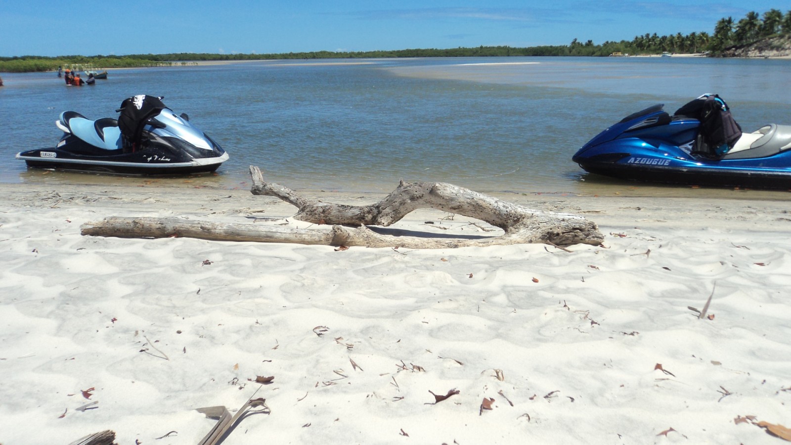 Passeio à Mangue Seco