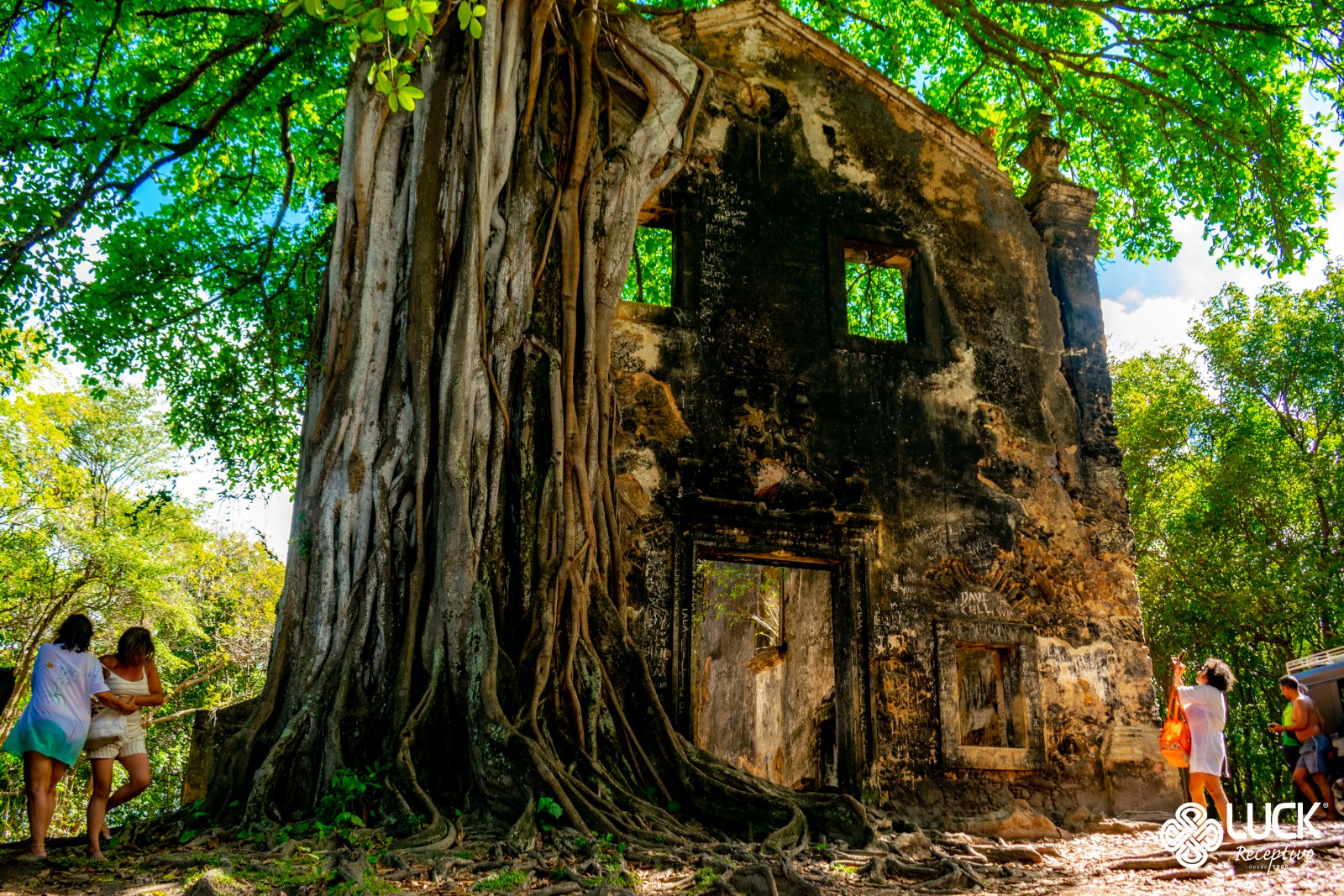Passeio de 4x4 pela Trilha dos Coqueirais no Litoral Norte