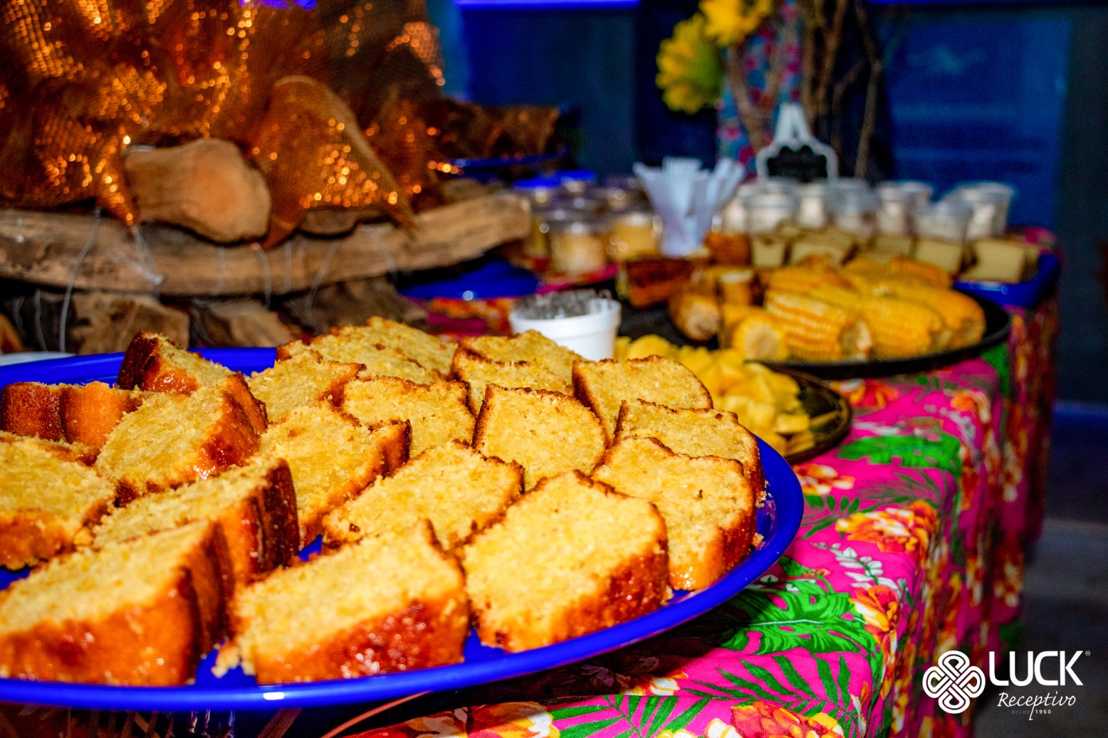 Passeio no Catamarã do Forró na Praia do Jacaré - Exclusivo