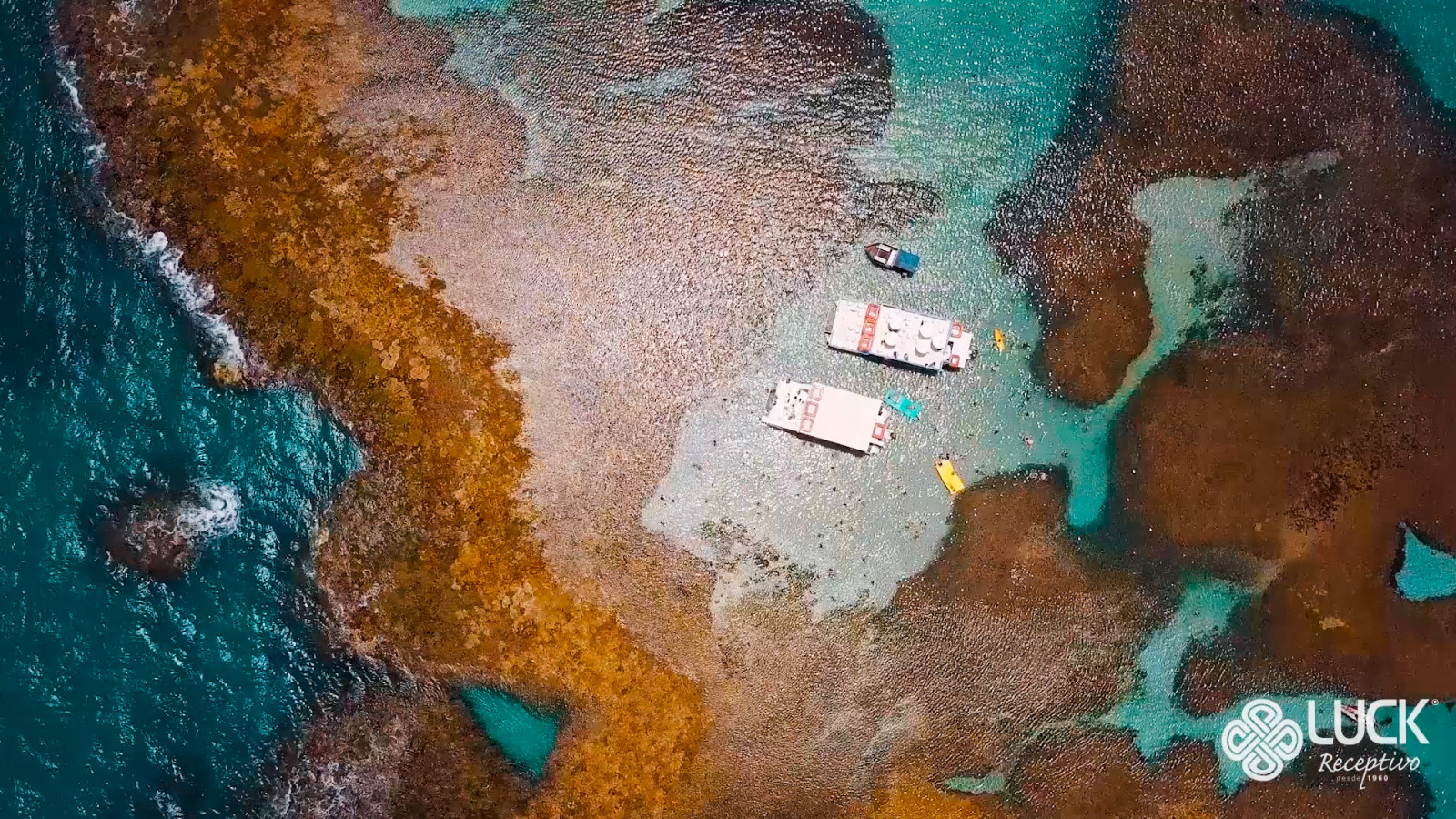 Passeio às Piscinas Naturais do Extremo Oriental