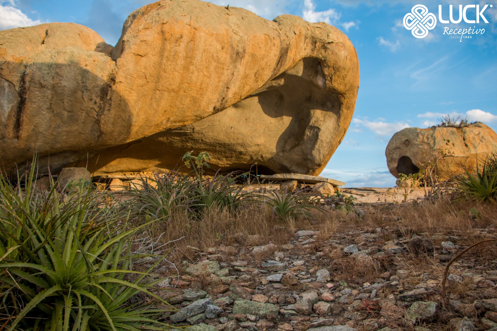 Passeio à Roliúde Nordestina: Cabaceiras 