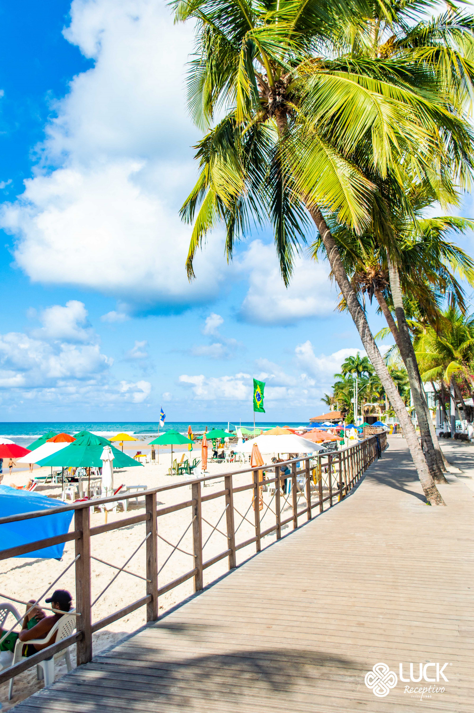 Passeio à Praia de Pipa saindo de João Pessoa