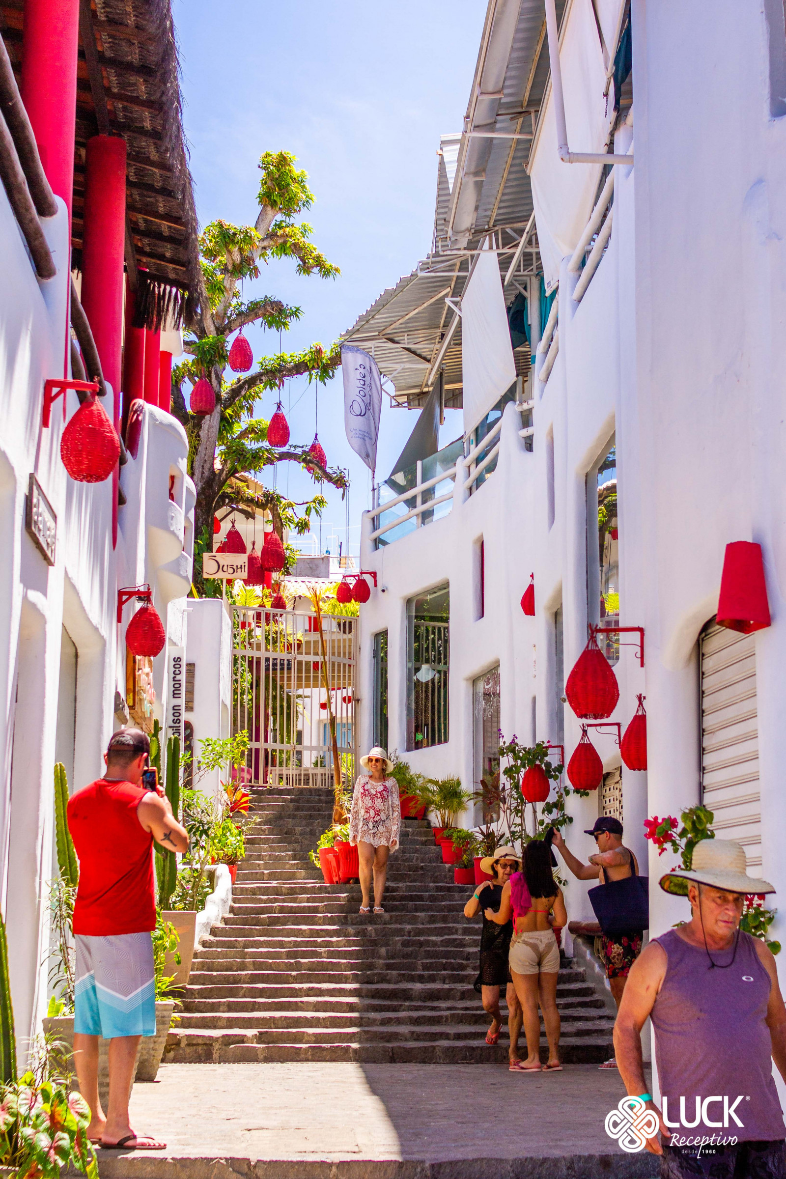 Passeio à Praia de Pipa saindo de João Pessoa