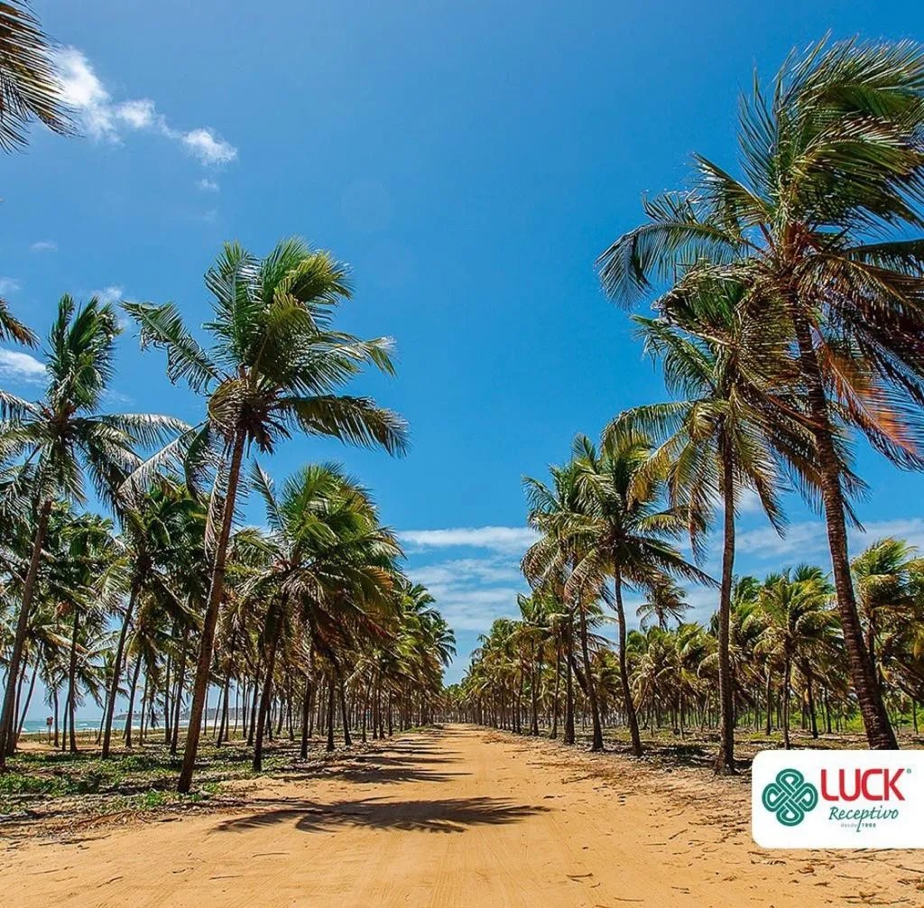 Passeio de Buggy em Porto de Galinhas | Diária
