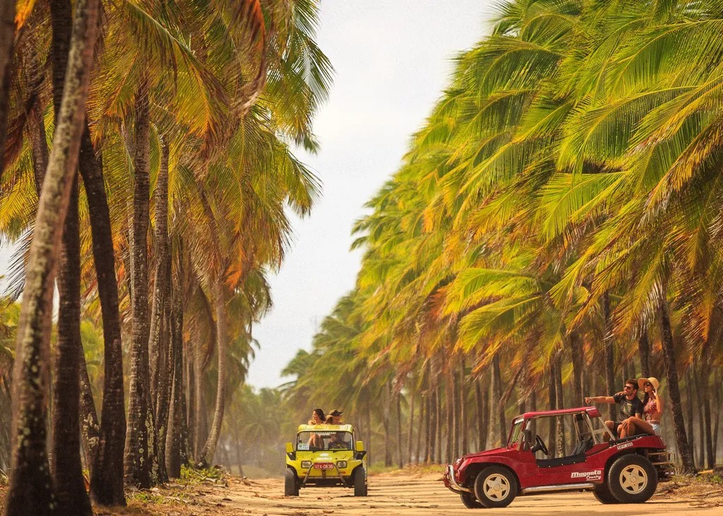 Passeio de Buggy em Porto de Galinhas | Diária