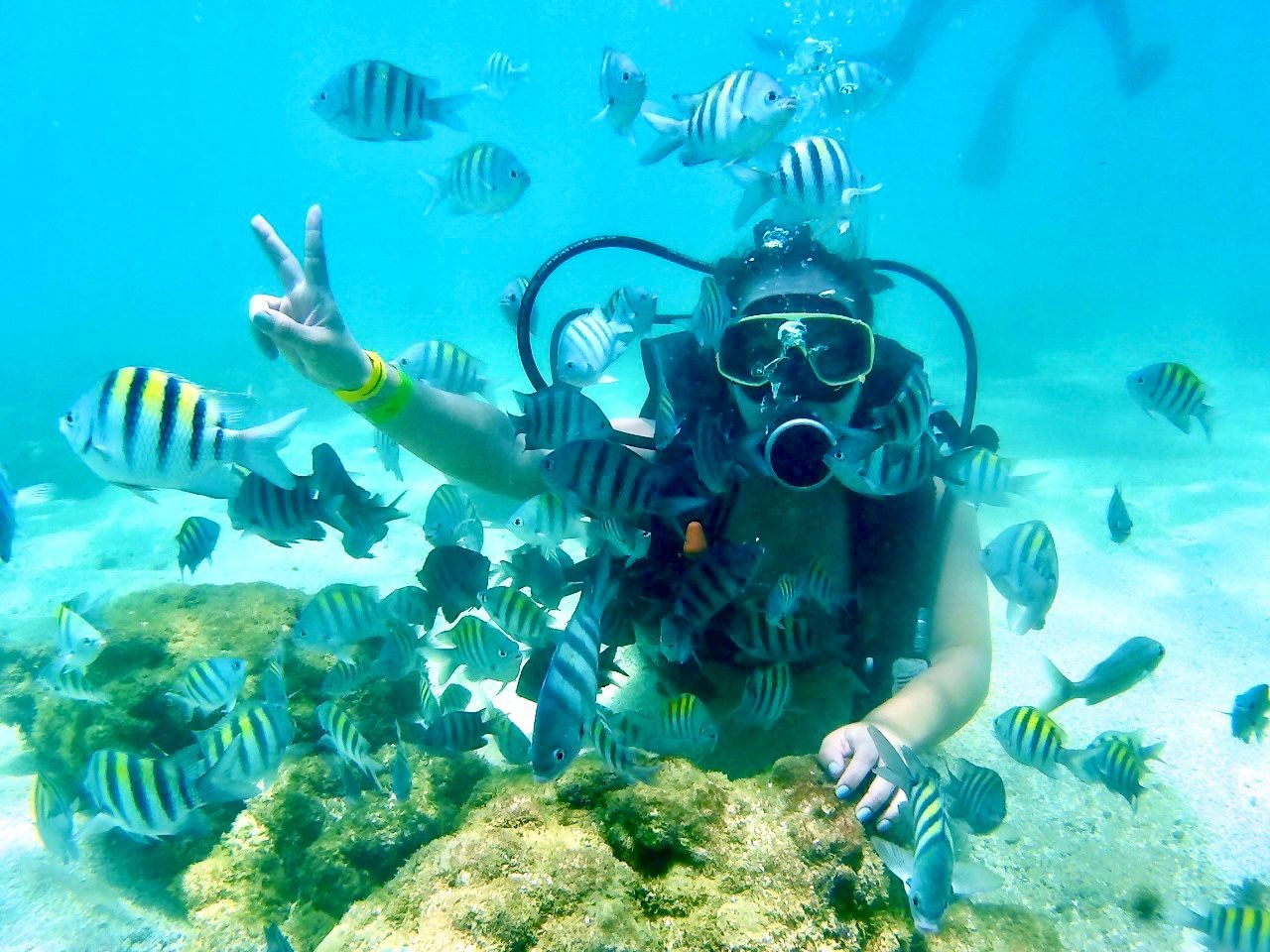 Mergulho em Porto de Galinhas