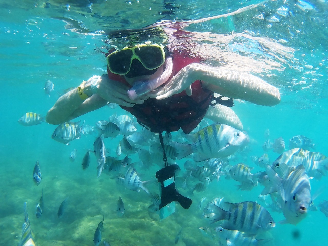 Mergulho em Porto de Galinhas