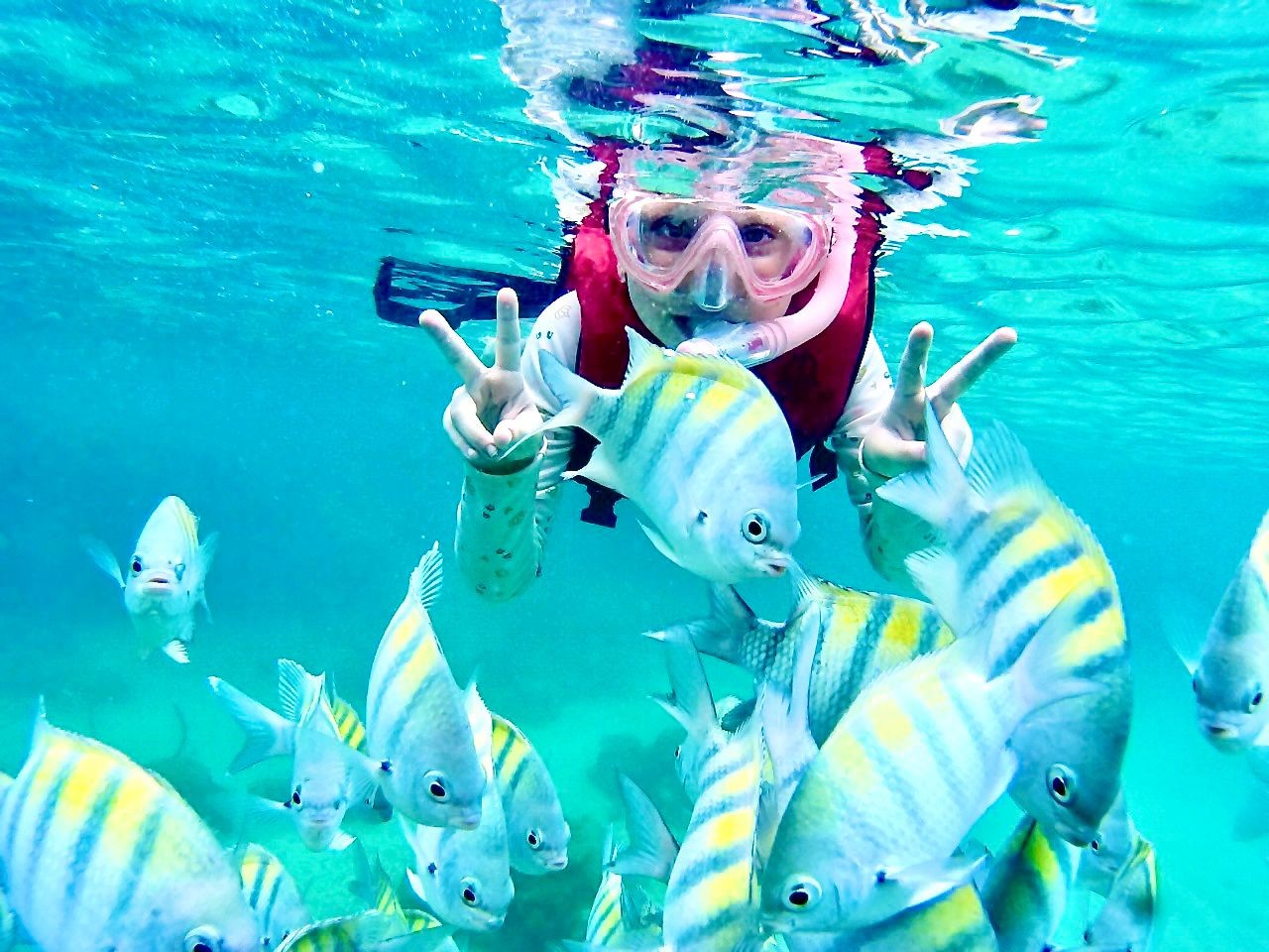 Mergulho em Porto de Galinhas