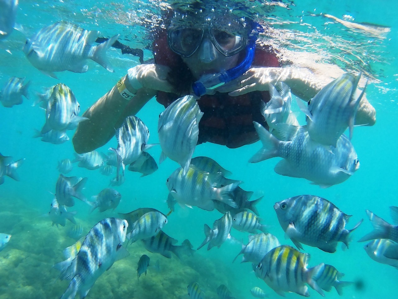Mergulho em Porto de Galinhas