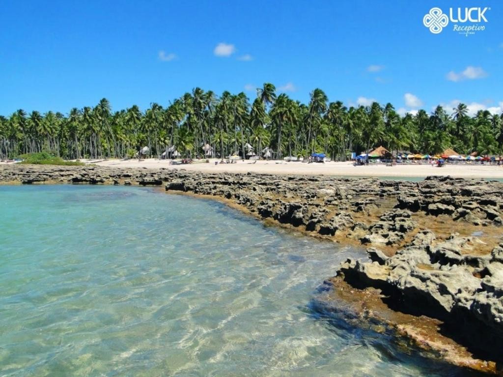 Passeio à Praia dos Carneiros saindo de Porto de Galinhas