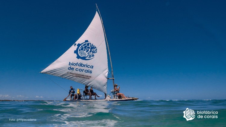 Propósito Recifal | Passeio de jangada, flutuação, coral e ciência