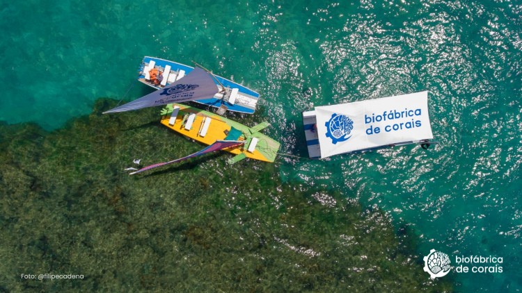 Propósito Recifal | Passeio de jangada, flutuação, coral e ciência