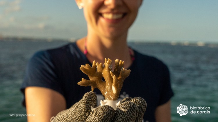 Propósito Recifal | Passeio de jangada, flutuação, coral e ciência