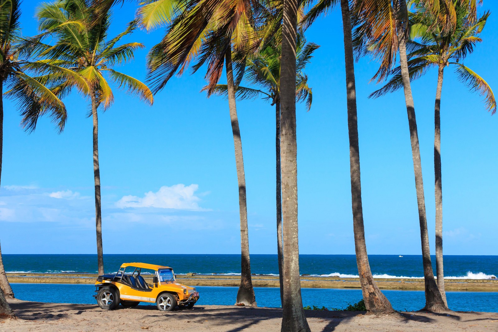 Passeio de Buggy em Porto de Galinhas | Com duração de 6hs